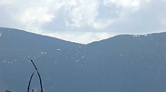 235_TZ60_P1110032_cr