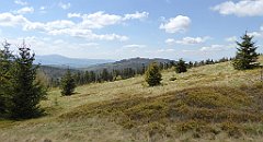 236_TZ60_P1110033_cr