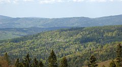 243_TZ60_P1110041_cr