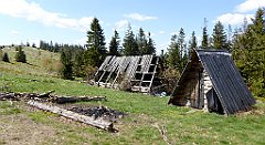 255_TZ60_P1110055_cr