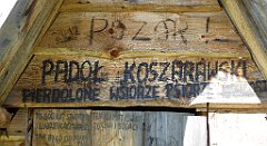 256_TZ60_P1110056_cr