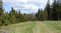 261_TZ60_P1110061_cr