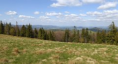 271_TZ60_P1110075_cr