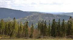 295_TZ60_P1110105_cr