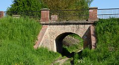 062_TZ60_P1110235_cr