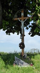 072_TZ60_P1110244_cr