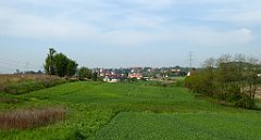 098_TZ60_P1110271_cr