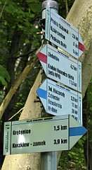 126_TZ60_P1110299_cr