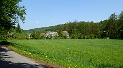 128_TZ60_P1110301_cr