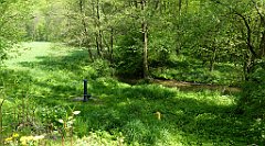 136_TZ60_P1110309_cr