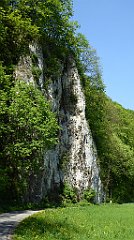 189_TZ60_P1110328_cr