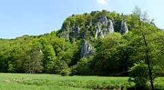 191a_TZ60_P1110330_cr