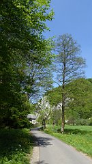 197_TZ60_P1110331_cr