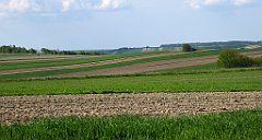 438_TZ60_P1110379_cr