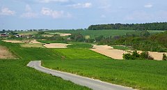 446_TZ60_P1110387_cr