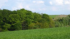 453_TZ60_P1110394_cr