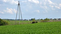 456_TZ60_P1110397_cr