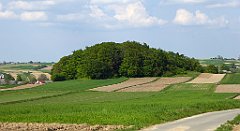 460_TZ60_P1110401_cr