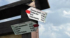 481_TZ60_P1110422_cr