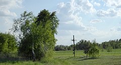 485_TZ60_P1110426_cr