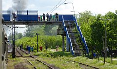 049_TZ60_P1110486_cr