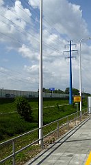 052_TZ60_P1110489_cr