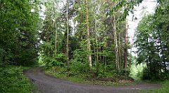 0019_TZ60_P1110547_cr