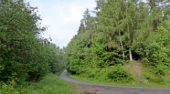 0020_TZ60_P1110548_cr