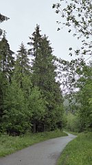 0024_TZ60_P1110552_cr