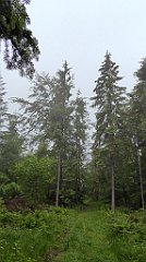 0025_TZ60_P1110553_cr