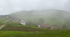 0043a_TZ60_P1110568_cr