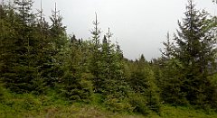 0211_A806_IMG_20160603_130746_cr