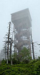 0220_TZ60_P1110588_cr