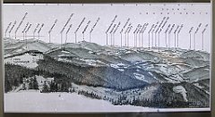 0230_TZ60_P1110597_cr