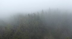 0235a_TZ60_P1110598_cr