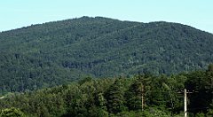 0117_TZ60_P1110695_cr