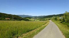 0119_TZ60_P1110697_cr