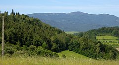 0120_TZ60_P1110698_cr