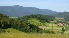 0121_TZ60_P1110700_cr