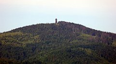 0125_TZ60_P1110706_cr