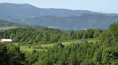 0167_TZ60_P1110747_cr