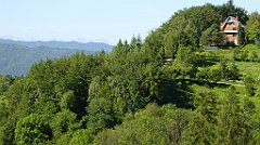 0168_TZ60_P1110749_cr