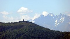 0185_TZ60_P1110764_cr