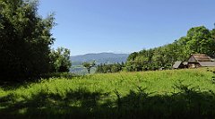 0194_TZ60_P1110771_cr