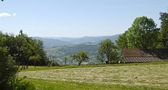 0196_TZ60_P1110773_cr