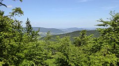 0217_TZ60_P1110787_cr