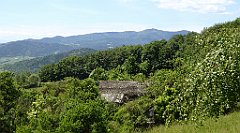 0237_TZ60_P1110800_cr