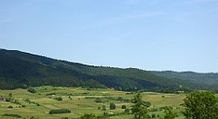 0323_TZ60_P1110836_cr