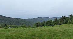 012_TZ60_P1110866_cr