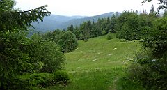 030_TZ60_P1110884_cr